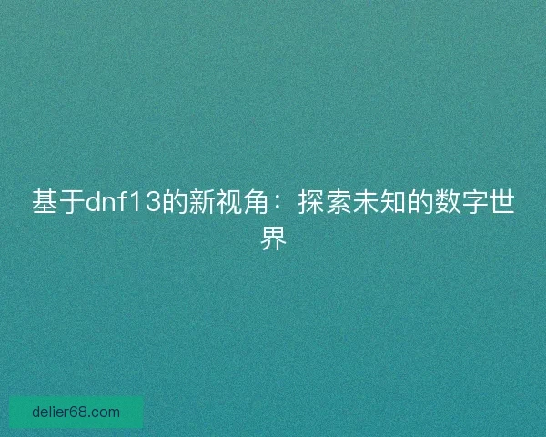基于dnf13的新视角：探索未知的数字世界